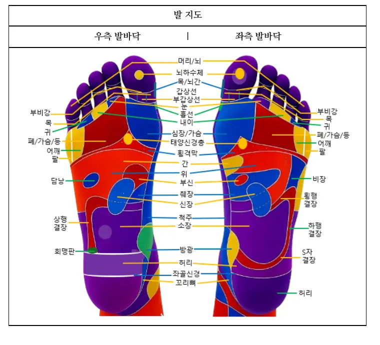 교재 발바닥 반사 지도